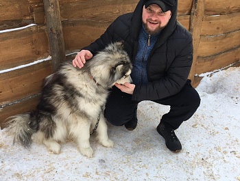 Путешествие к маламутам