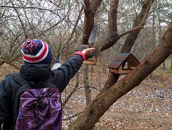 Сохраним лес!