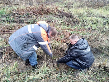 Сохраним лес!