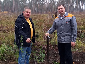 Сохраним лес!